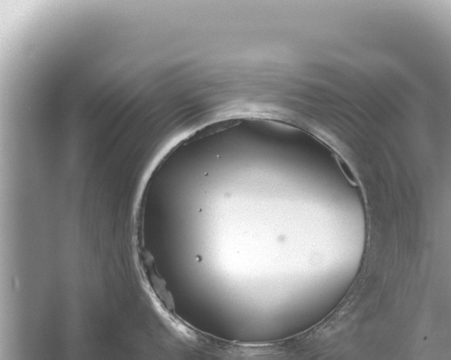 X0000059041152200510211927