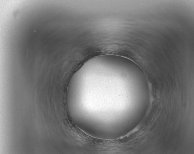 X0000059041153200510211926