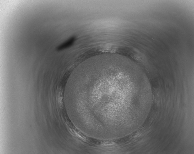 X0000059041154200510211926