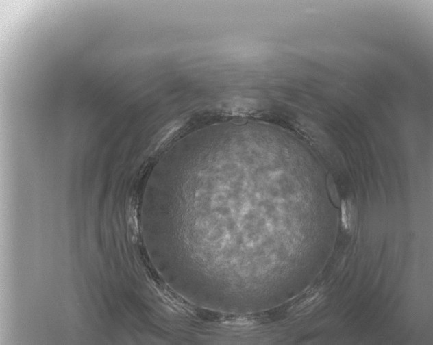 X0000059041155200510211926