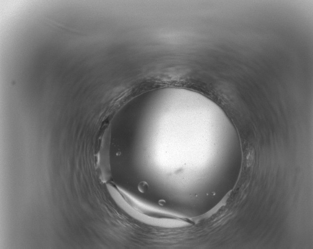 X0000059041156200510211926