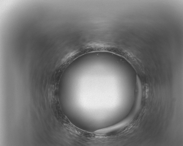 X0000059041157200510211926