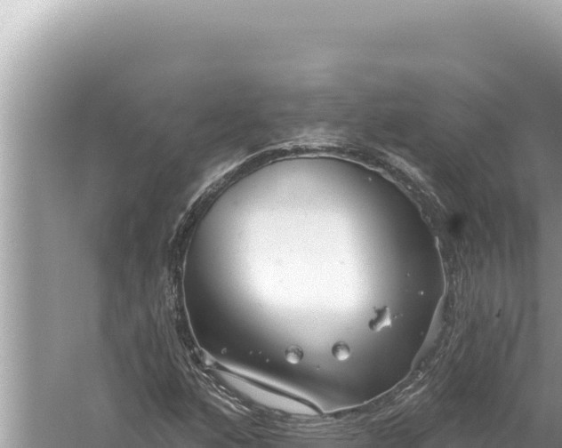 X0000059041160200510211926