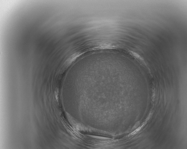 X0000059041161200510211926