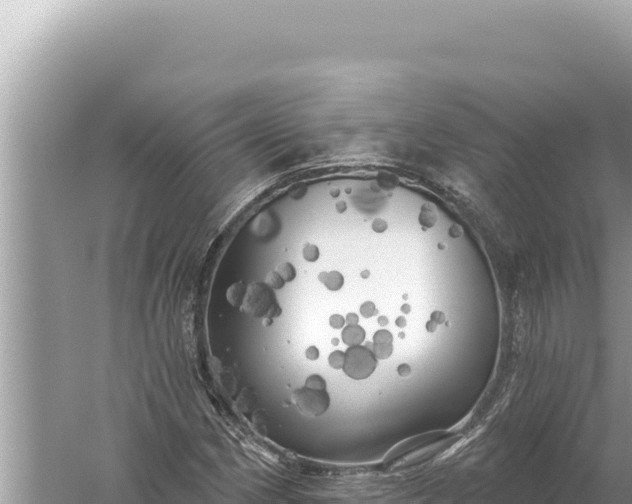 X0000059041162200510211926