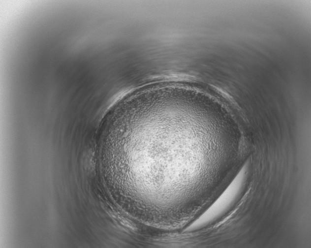 X0000059041163200510211926