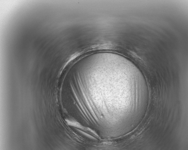 X0000059041166200510211926