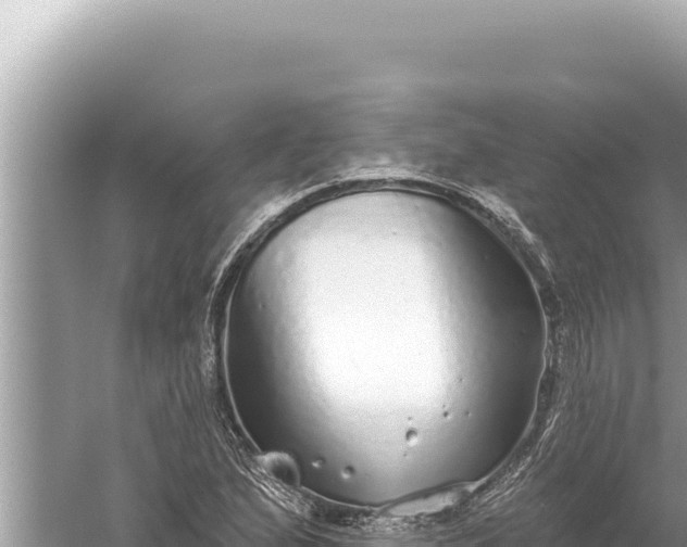 X0000059041167200510211926