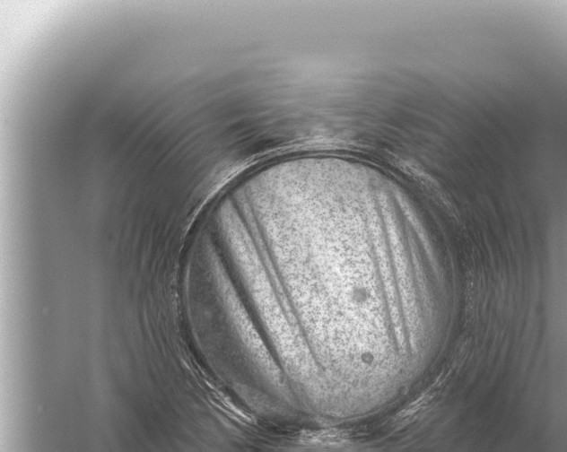 X0000059041170200510211926