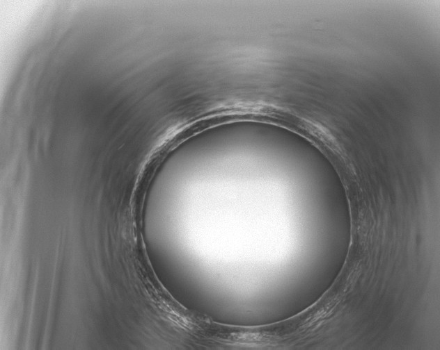 X0000059041172200510211926