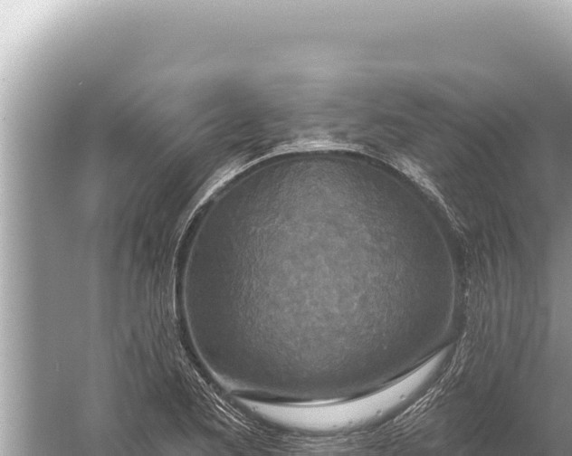 X0000059041173200510211926