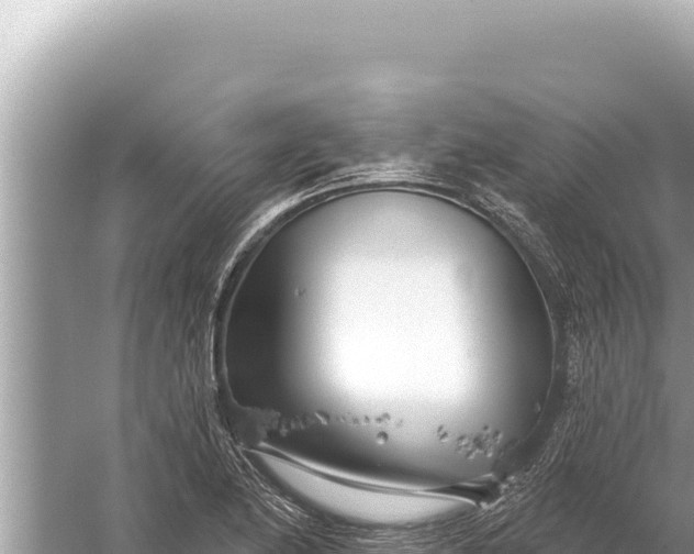 X0000059041174200510211926