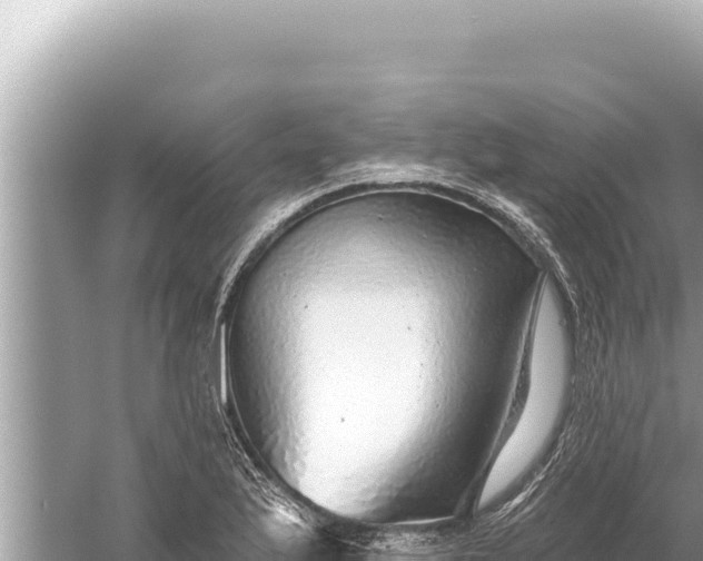 X0000059041175200510211926