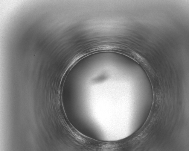 X0000059041178200510211926