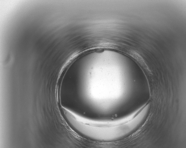 X0000059041180200510211926