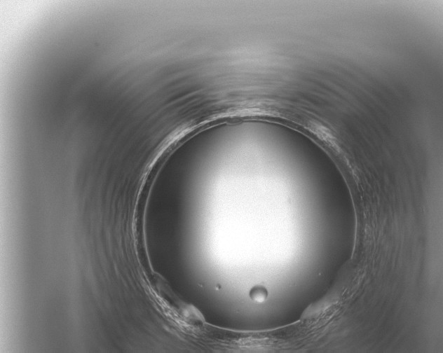 X0000059041181200510211926