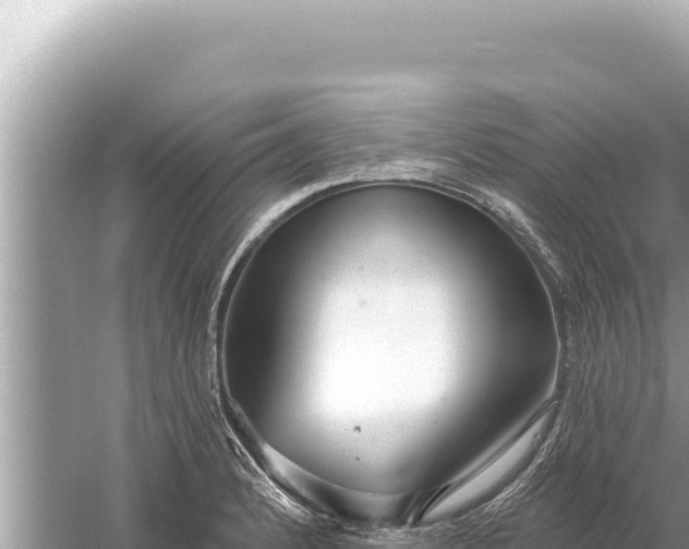 X0000059041184200510211926