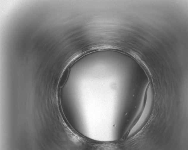 X0000059041189200510211926