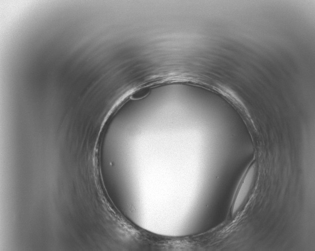 X0000059041190200510211926