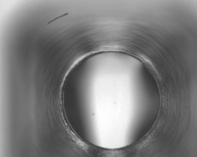 X0000059041192200510211926