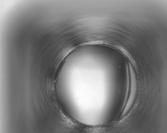 X0000059041193200510211926