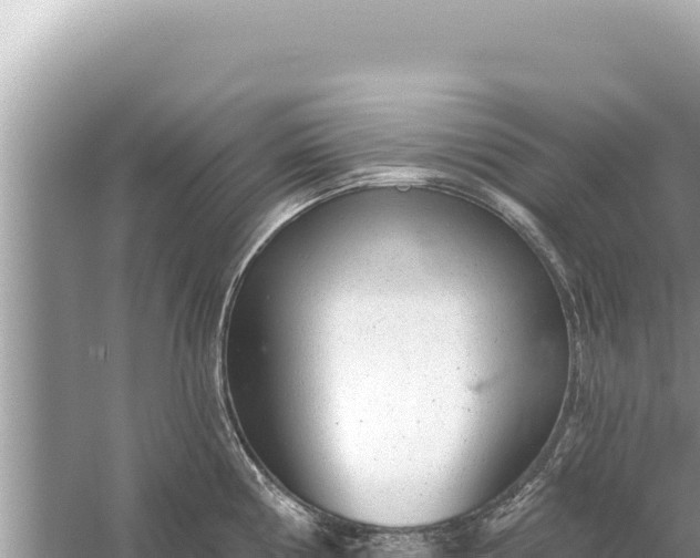 X0000059041194200510211926