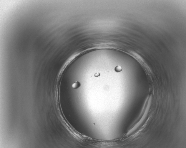 X0000059041196200510211926