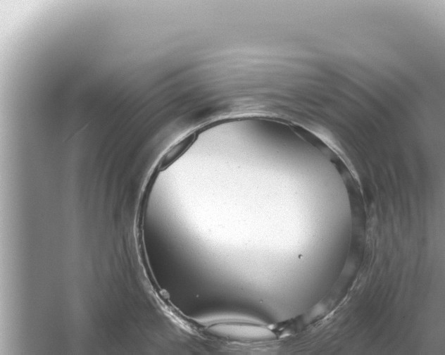 X0000059041197200510211926