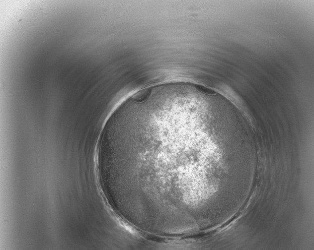 X0000059041198200510211926