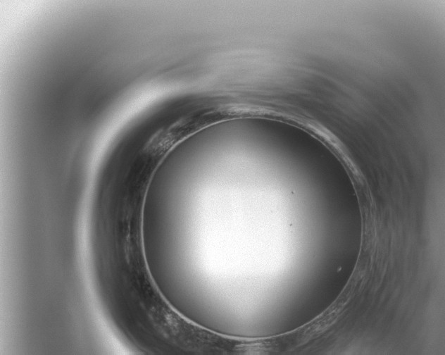 X0000059041199200510211926