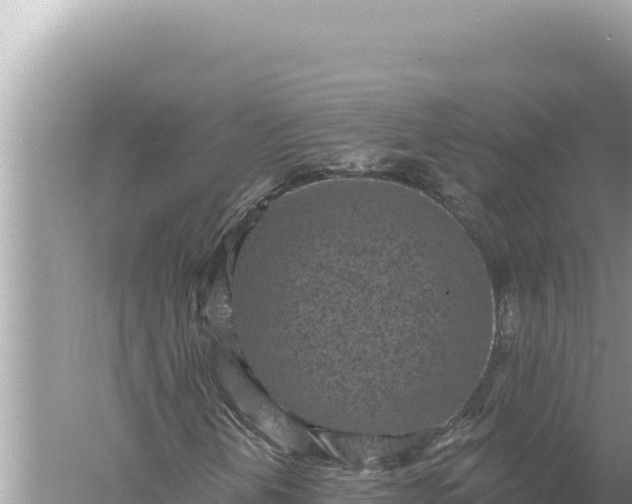 X0000059041202200510211925