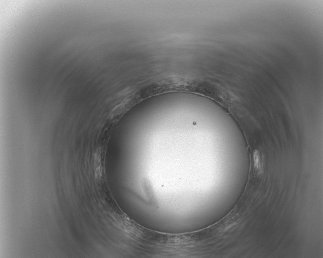 X0000059041203200510211925