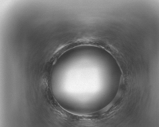 X0000059041206200510211925