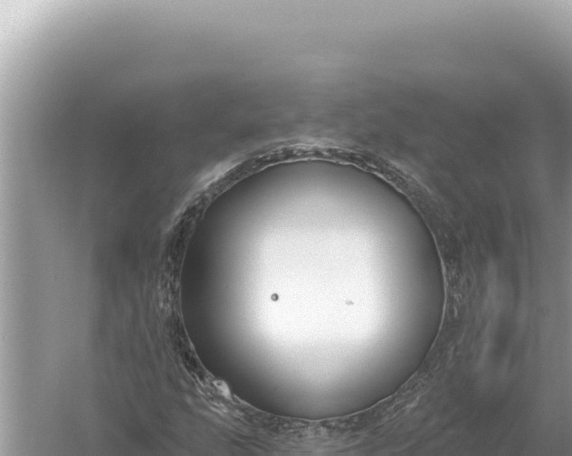 X0000059041207200510211925