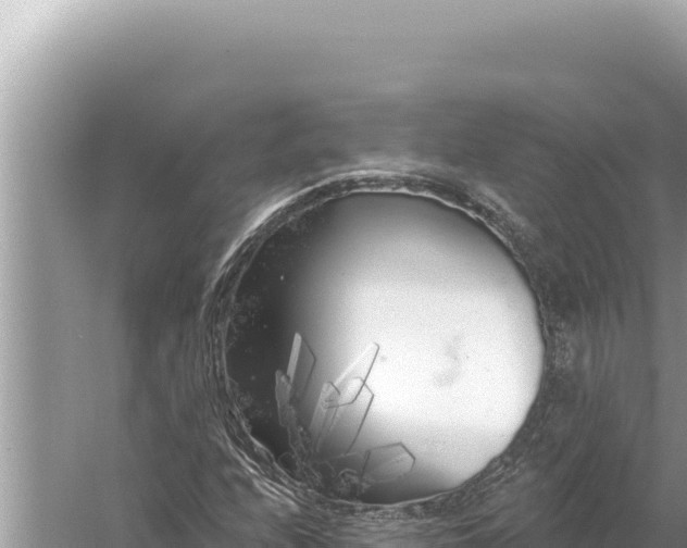 X0000059041208200510211925