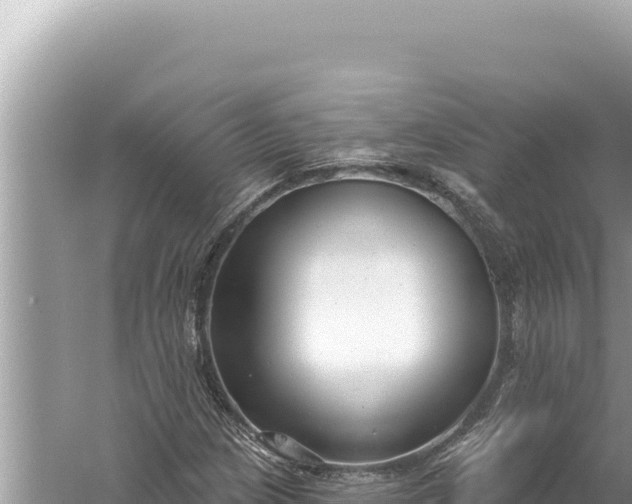 X0000059041209200510211925