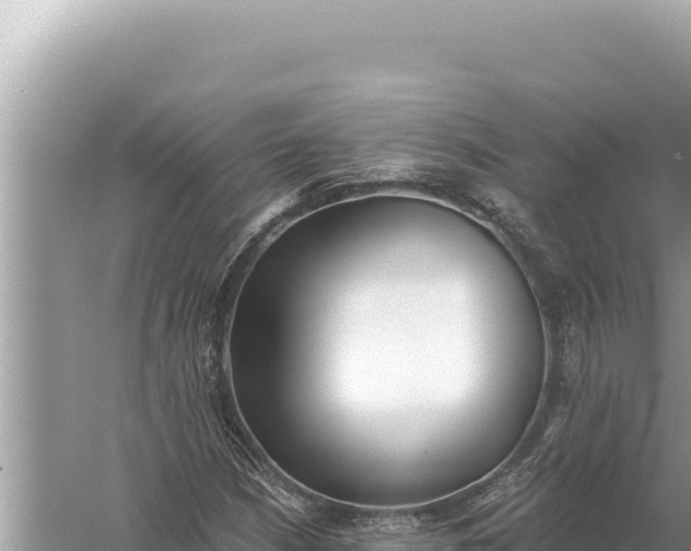 X0000059041210200510211925