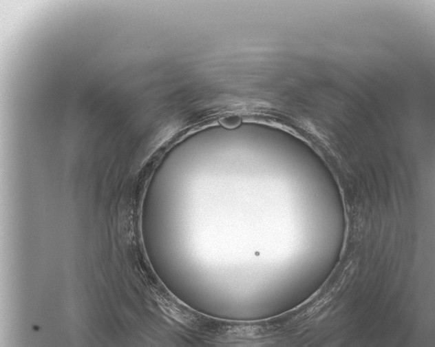 X0000059041211200510211925