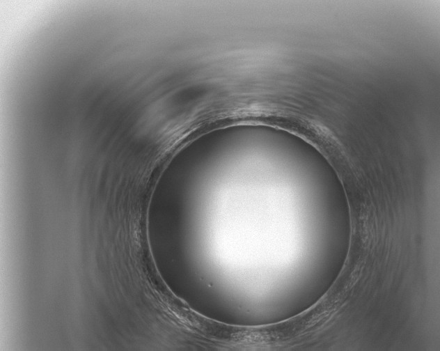 X0000059041217200510211925