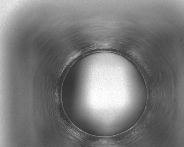 X0000059041218200510211925