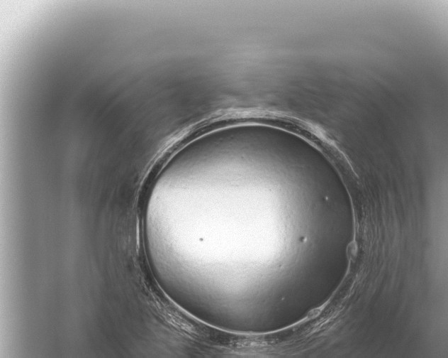 X0000059041221200510211925