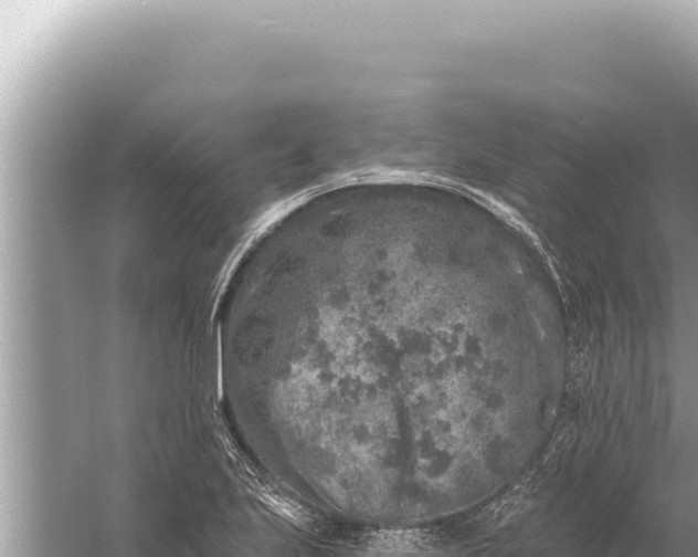 X0000059041223200510211925