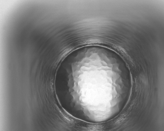 X0000059041225200510211925