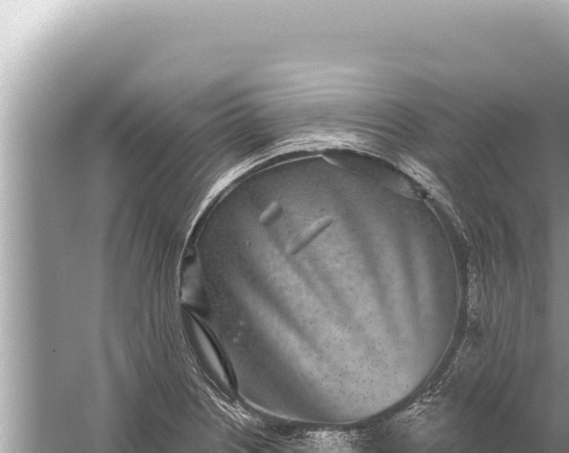 X0000059041226200510211925