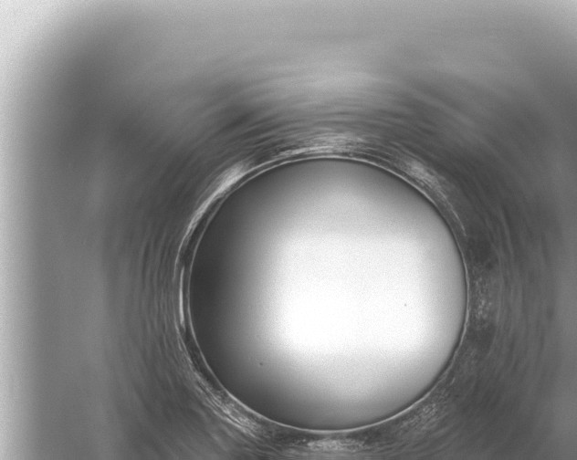 X0000059041227200510211925