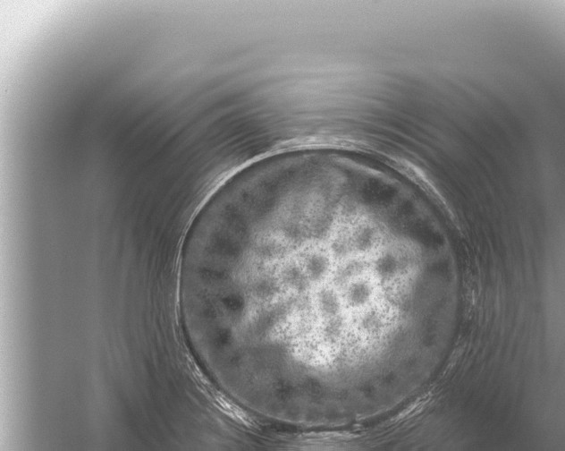 X0000059041228200510211925