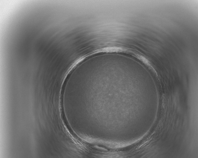 X0000059041229200510211925