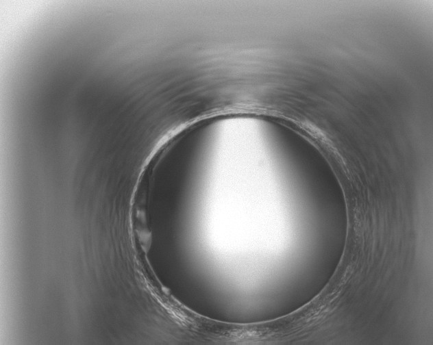 X0000059041230200510211925