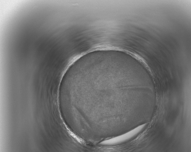 X0000059041231200510211925