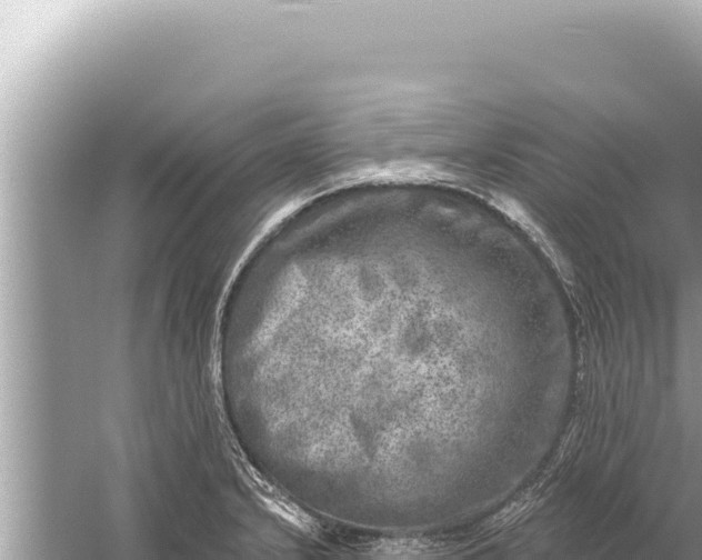 X0000059041232200510211925